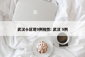 武汉小区现9例阳性: 武汉 9例