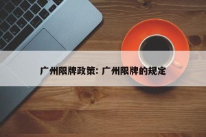 广州限牌政策: 广州限牌的规定